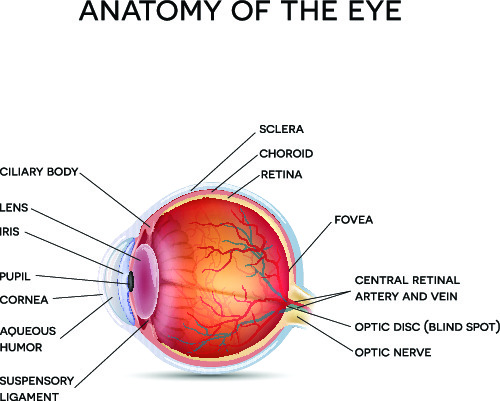 Eye Center South Destin Florida