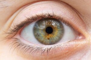 Hazel Eye Color