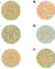 Color Vision Test